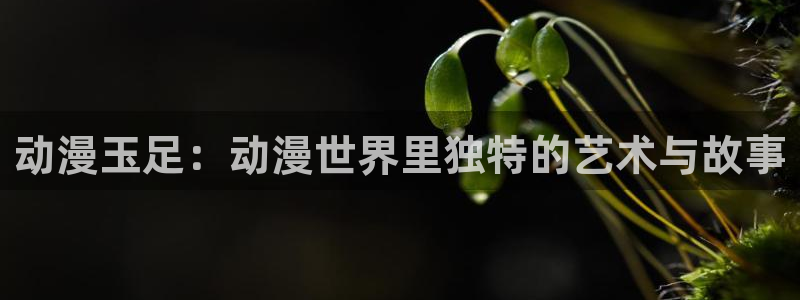 omofun官网安卓下载