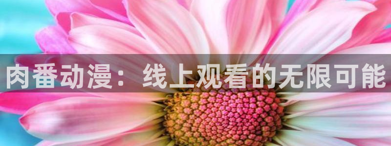 omofun动漫在线看