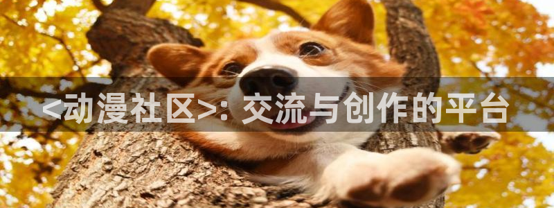 omofun的官网