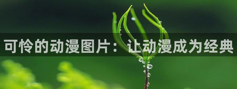 omofun动漫官网入口网址