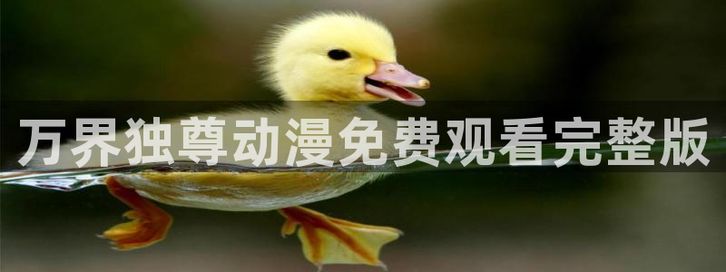 omofun复活版