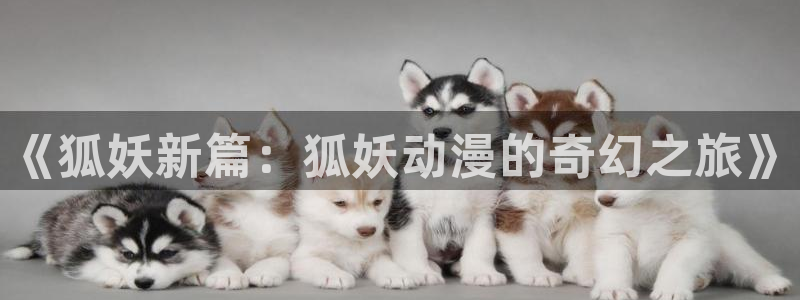 omofun网页版怎么没了