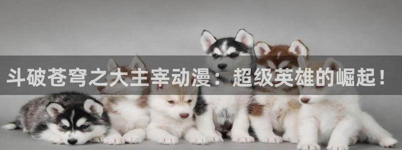 omofun官网网页版