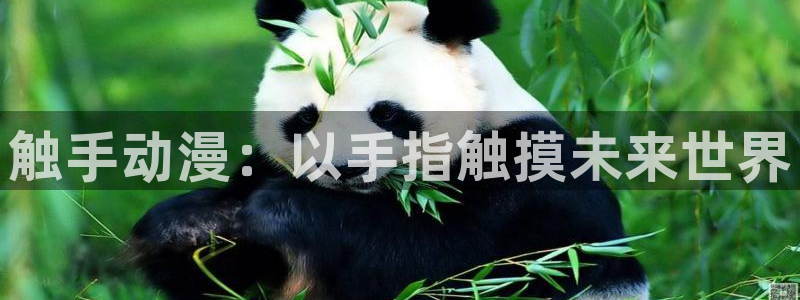 omofun在线下载