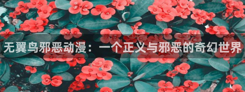 动漫omofun下载