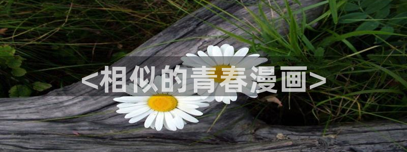 omofun漫画官网入口