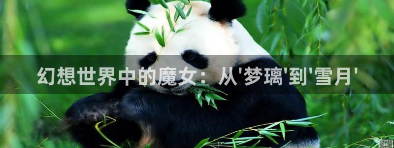 omofun老版本