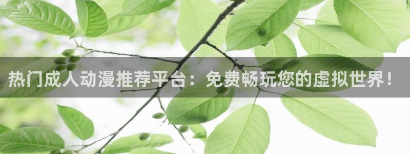 omofun网页版官网